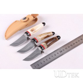 Wild Antlers Deer Horn Damascus small collection knife UD402065